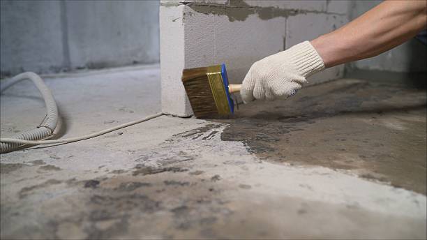 Top rated local Crawl Space Encapsulation specialists in Quinton, AL